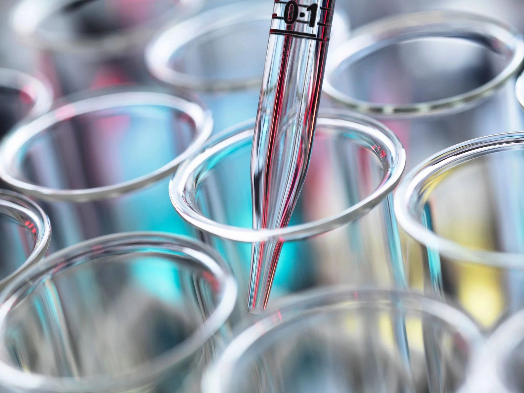 Close-up of laboratory pipette dispensing liquid into a testing plate