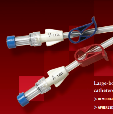 Hemodialysis Catheter 2L
